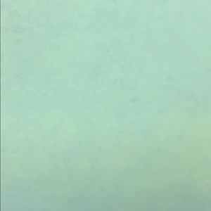 Meet your Posher, Paulina